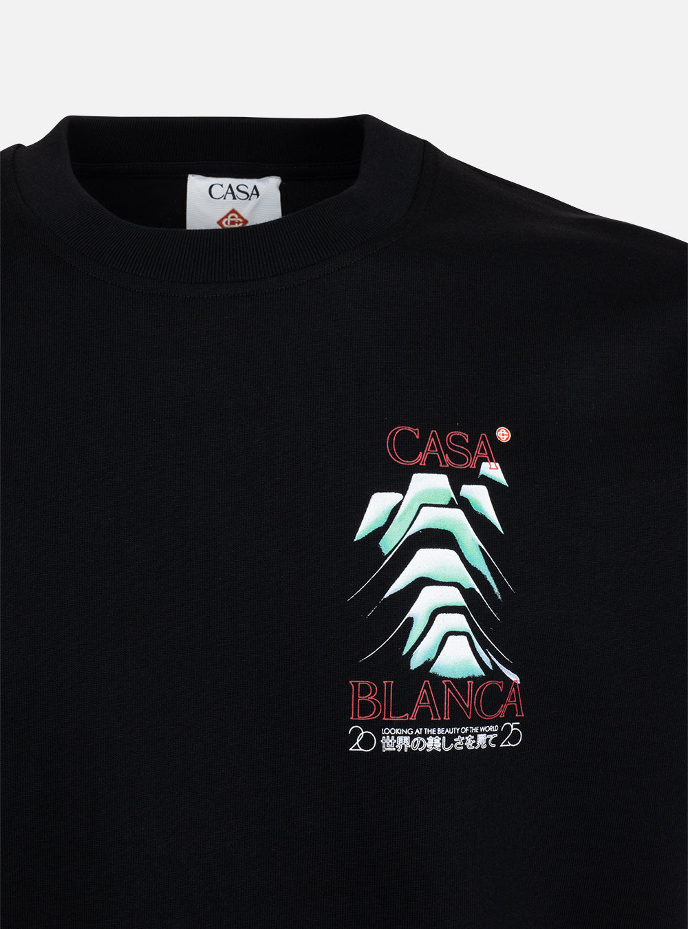 T-shirt Frosty Mountain