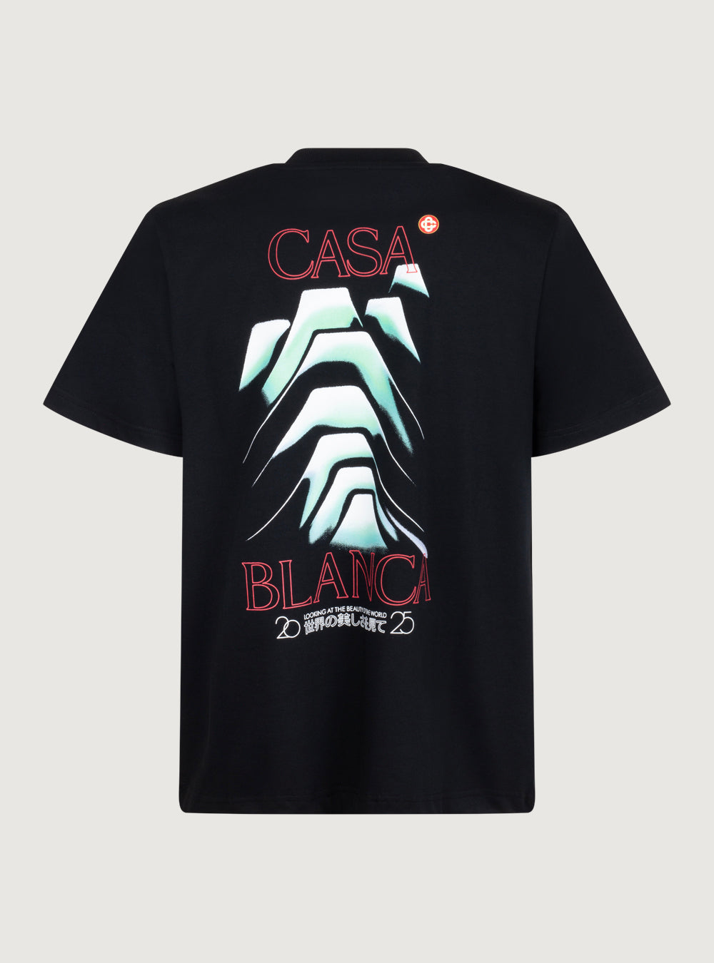 T-shirt Frosty Mountain